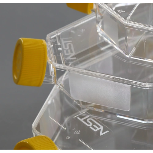 T175 Cell culture flasks for suspension cells China Manufacturer